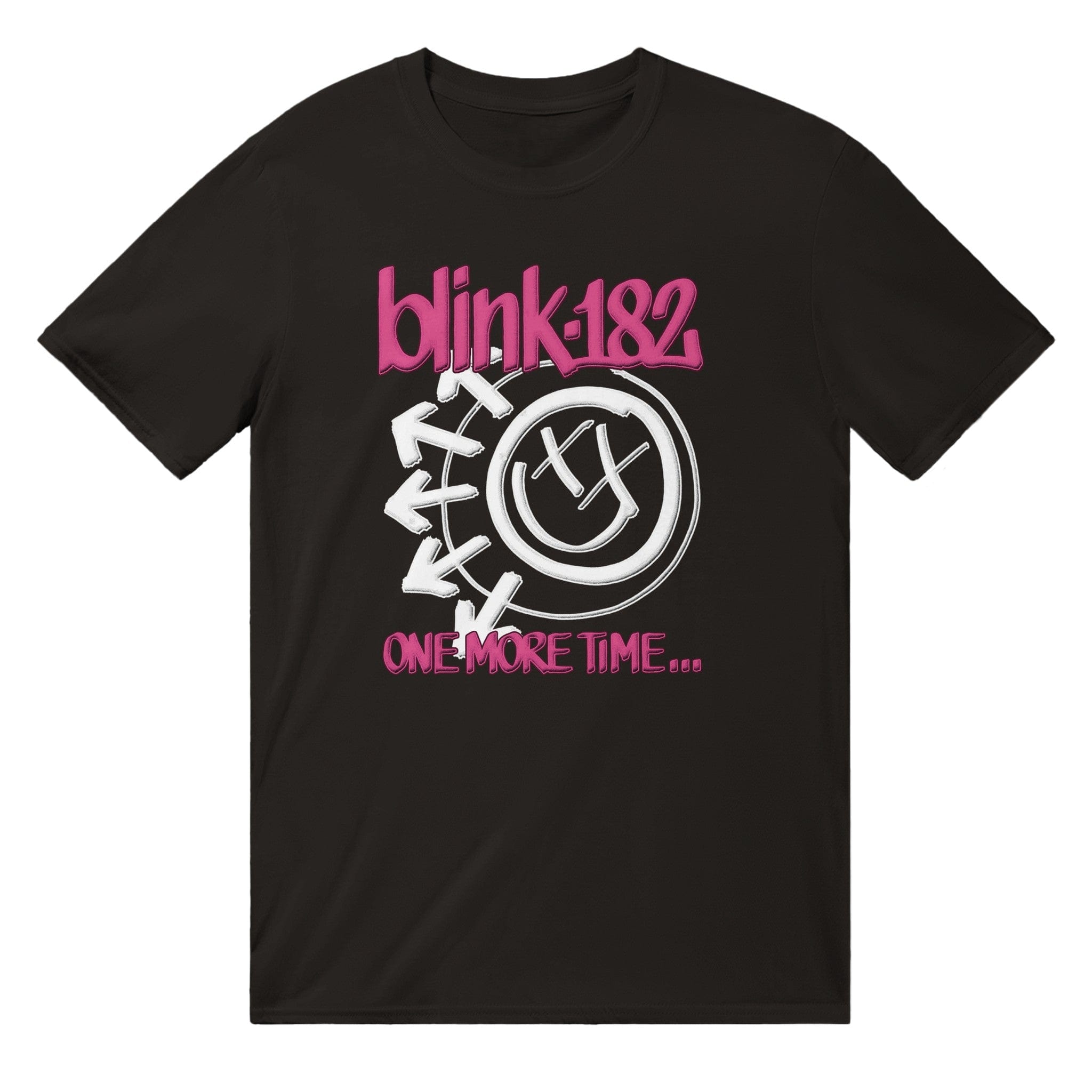 Blink 182 unofficialレコード 2枚セット - レコード