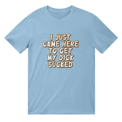 I Just Came Here To Get My Dick Sucked T-shirt Australia Online Color Light Blue / S