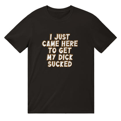 I Just Came Here To Get My Dick Sucked T-shirt Australia Online Color Black / S